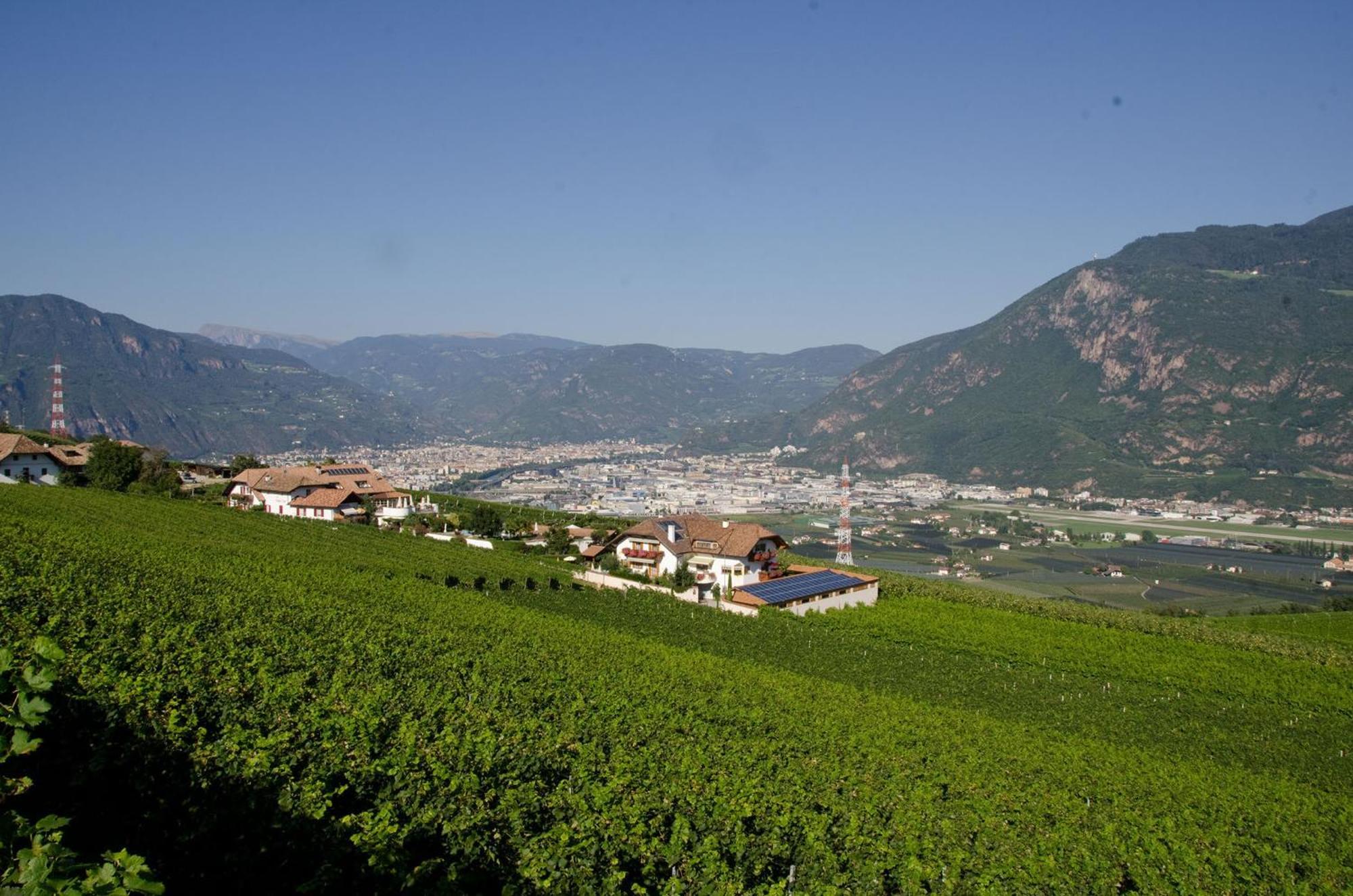Ferienwohnungen Lanserhof อัปเปียโนซุลลา สตราดา เดล วีโน ภายนอก รูปภาพ